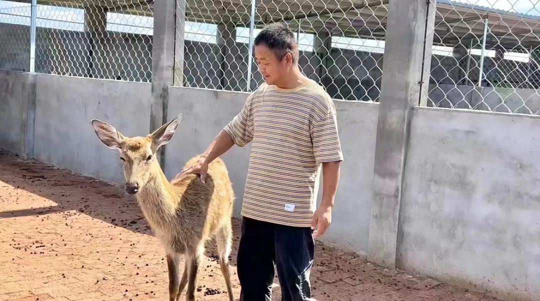 盛辉娱乐下载网址